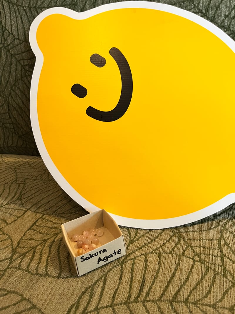 Lemon8 5